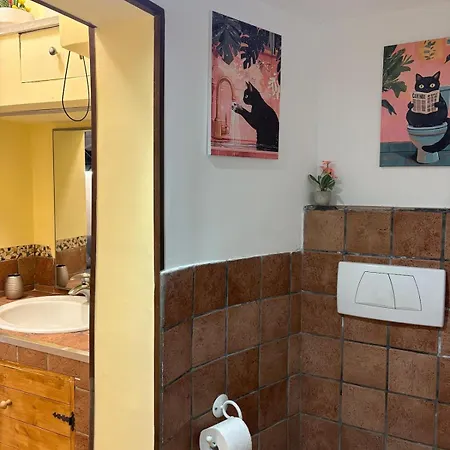 St Peter Loft - Vaticano * Roma